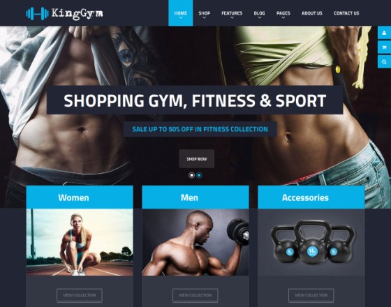 VG Kinggym - Fitness, Gym and Sport WordPress Theme