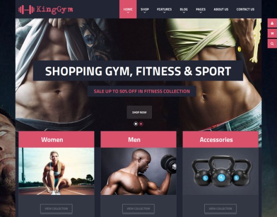 VG Kinggym - Fitness, Gym and Sport WordPress Theme