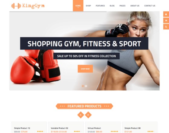 VG Kinggym - Fitness, Gym and Sport WordPress Theme