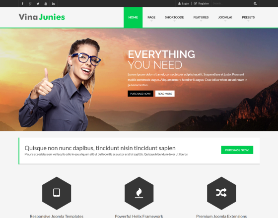 Vina Junies - Responsive Corporate Joomla 3.x Template