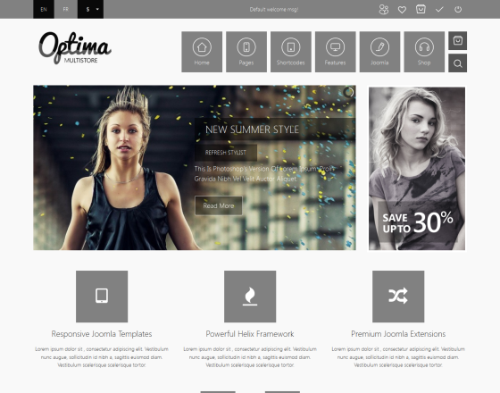 Vina Optima - Responsive Multi-Store Joomla 3.x Template