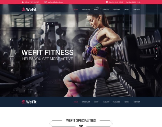 Vina Wefit - Health, Sport, Gyms and Trainers Template