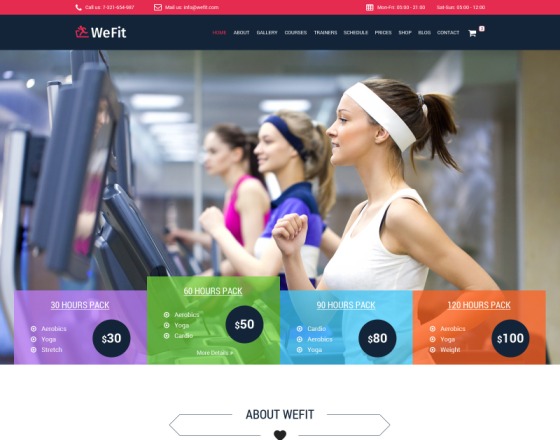 Vina Wefit - Health, Sport, Gyms and Trainers Template