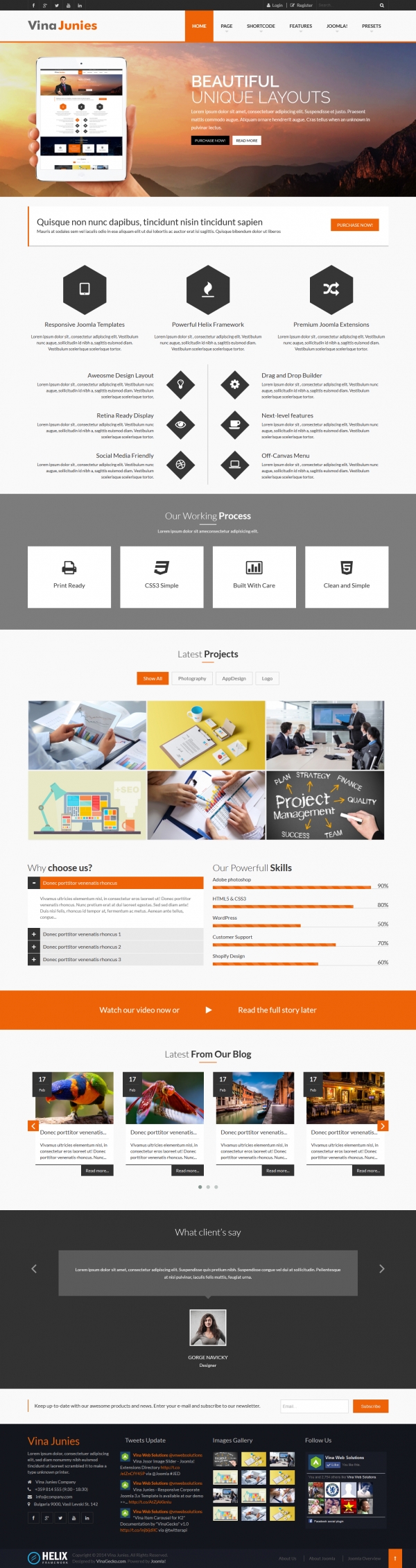 Vina Junies - Responsive Corporate Joomla 3.x Template