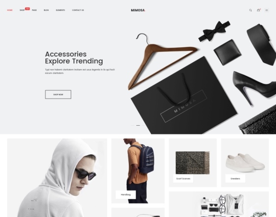 Mimosa - Modern Fashion WooCommerce WordPress Theme