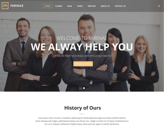 VG Mirinae - WordPress Insurance Agency Theme